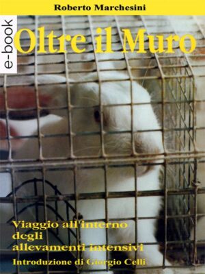 Copertina del libro "Oltre il muro"